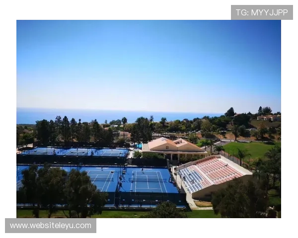 乐鱼官方手机版常见问题与解决方案，帮助新手快速上手畅玩无忧