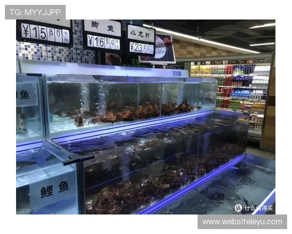 乐鱼旗舰店——省心网购海鲜，安全保障让您购物无忧