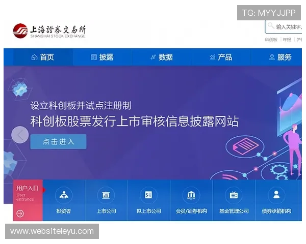 乐鱼登录网站注册流程详解，轻松开启你的游戏之旅