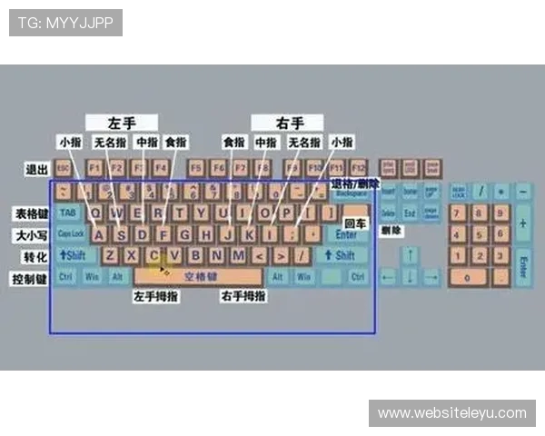 乐鱼直播平台下载安装教程新用户零基础快速入门指南 乐鱼直播平台下载安装教程新用户零基础快速入门指南