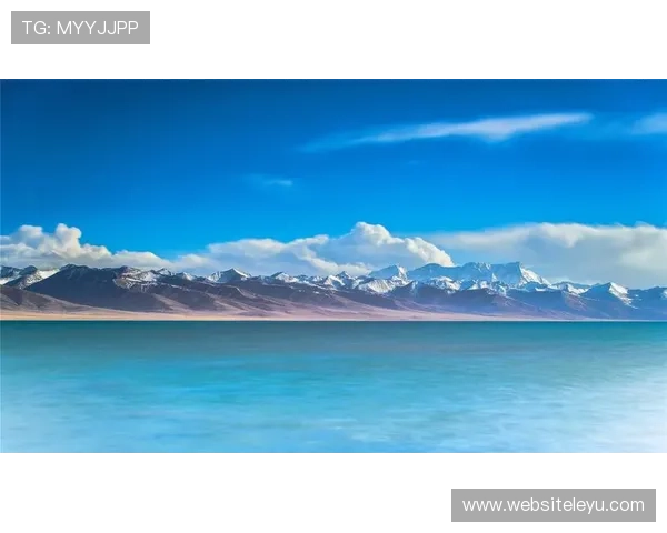 乐鱼网最新消息揭示平台未来规划与即将上线的热门游戏内容