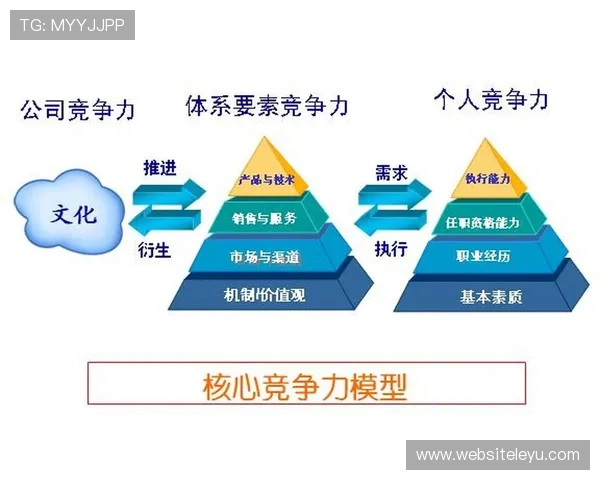 乐鱼集团如何应对行业挑战，保持持续增长的市场竞争力