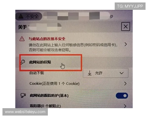 乐鱼app下载客户端首页不显示问题的多种解决方案及预防措施
